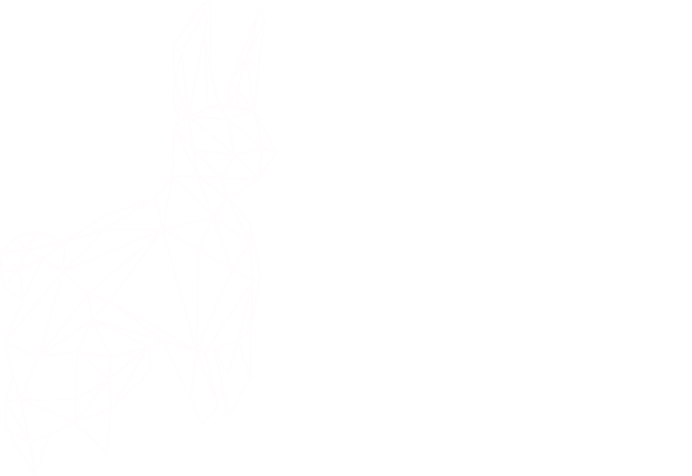 Logomarca: LAPIN - Laboratório de Políticas Públicas e Internet