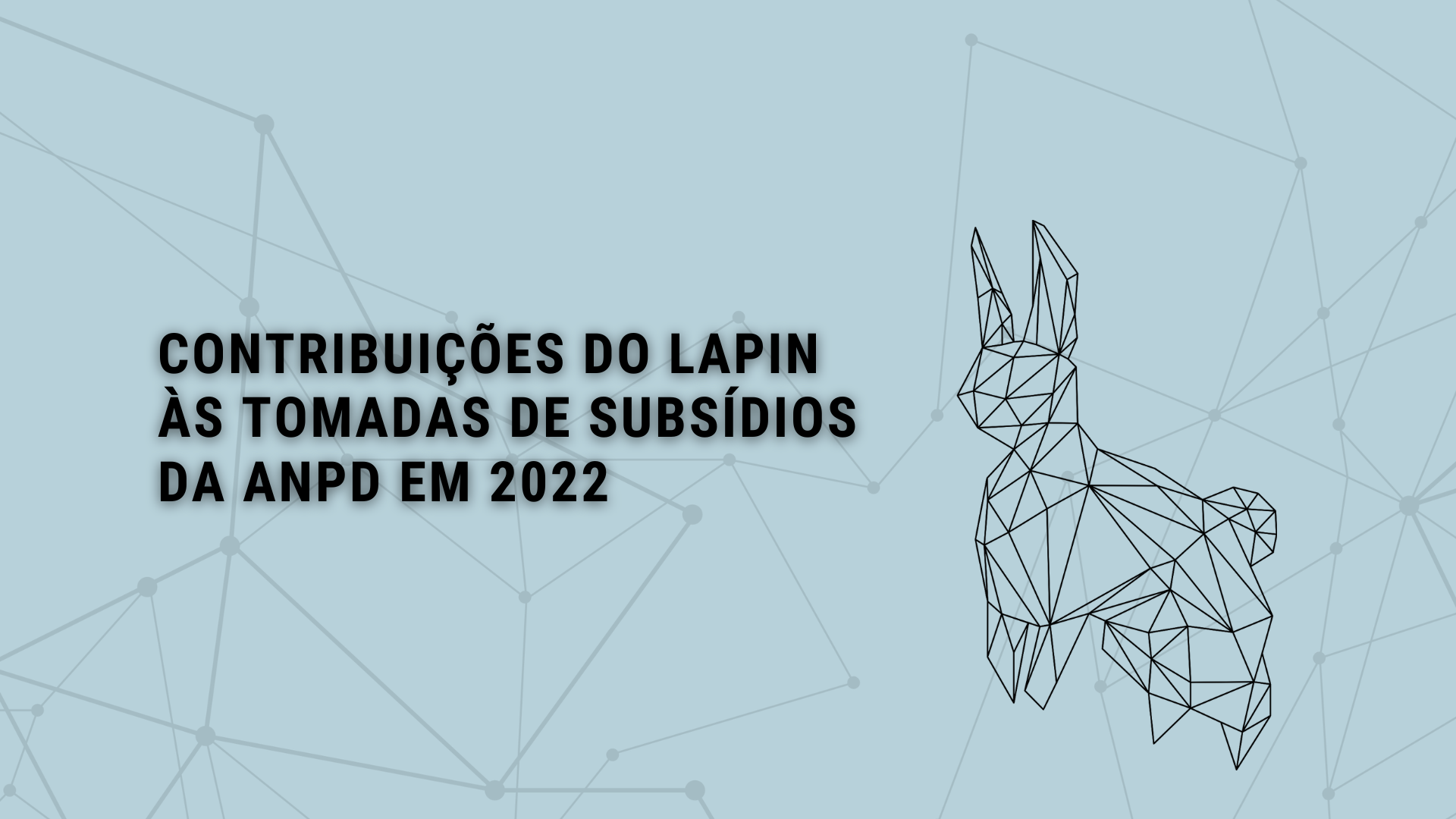 CONTRIBUIÇÕES DO LAPIN ÀS TOMADAS DE SUBSÍDIOS DA ANPD EM 2022